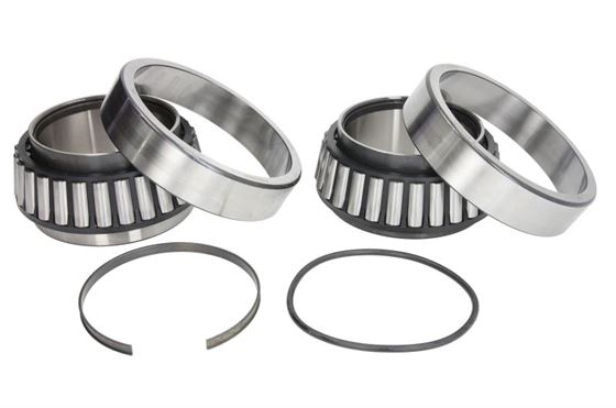 Комплект підшипників роликових конічних (804162.01.H195)