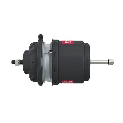 Энергоаккумулятор дисковый тормоз 24/24 / M22x1,5