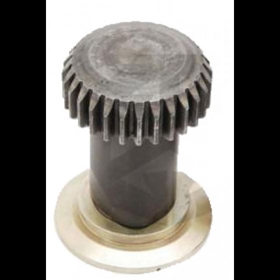 Комплект поршнів з п'ятаками M0145 MERITOR ELSA 2/195/225 / 2шестерні D = 49.5мм