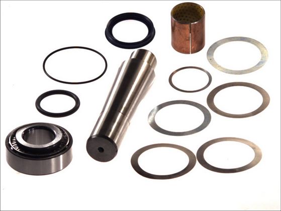 Ремкомплект шкворня (54х217) / 550730