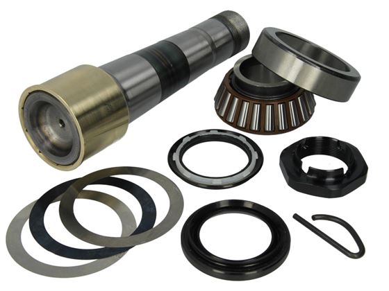 Ремкомплект шкворня