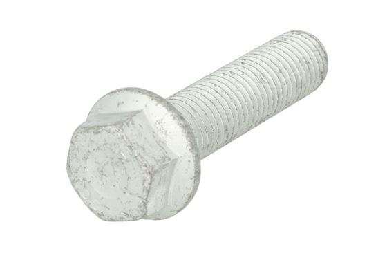 Болт (М16х65 / 100) /02.0006.09.51