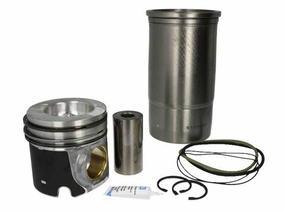 Поршень в зборі RVI MIDR 623.56 d123.0 STD