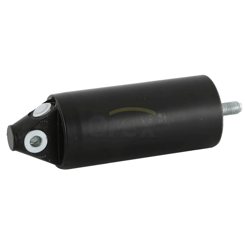 Циліндр пневматичний зупинки двигуна MAN L/M/F2000, TGA, SL/SU/NL/NG/UL/RH, Lion's, Neoplan